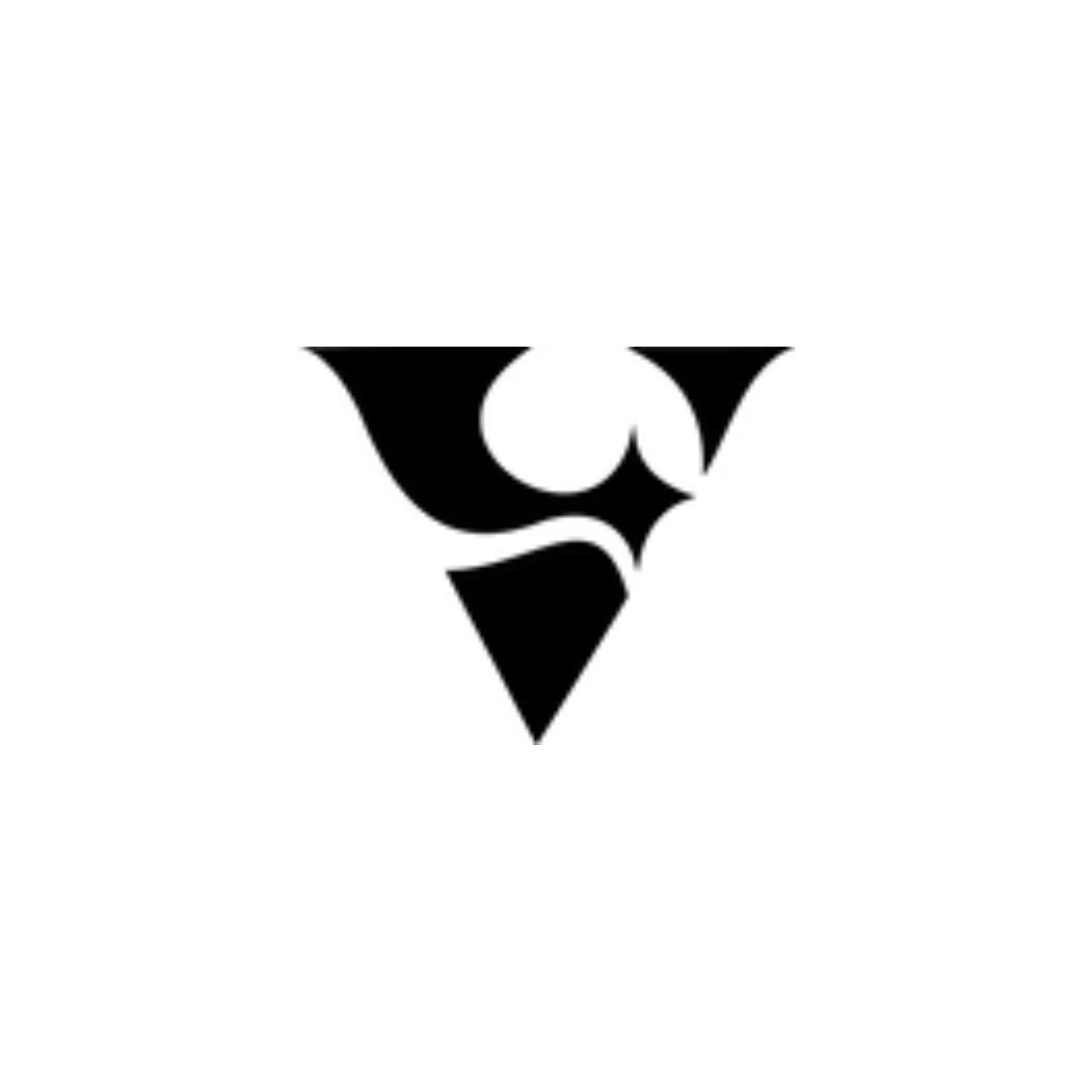 VERVE STUDIOS