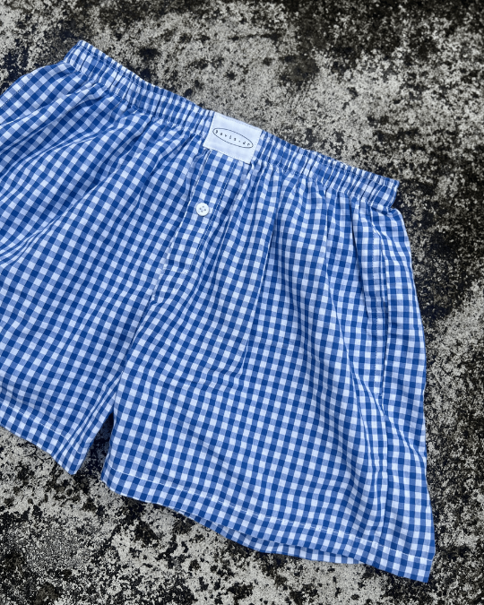 Vintage Checked Boxer – Blue