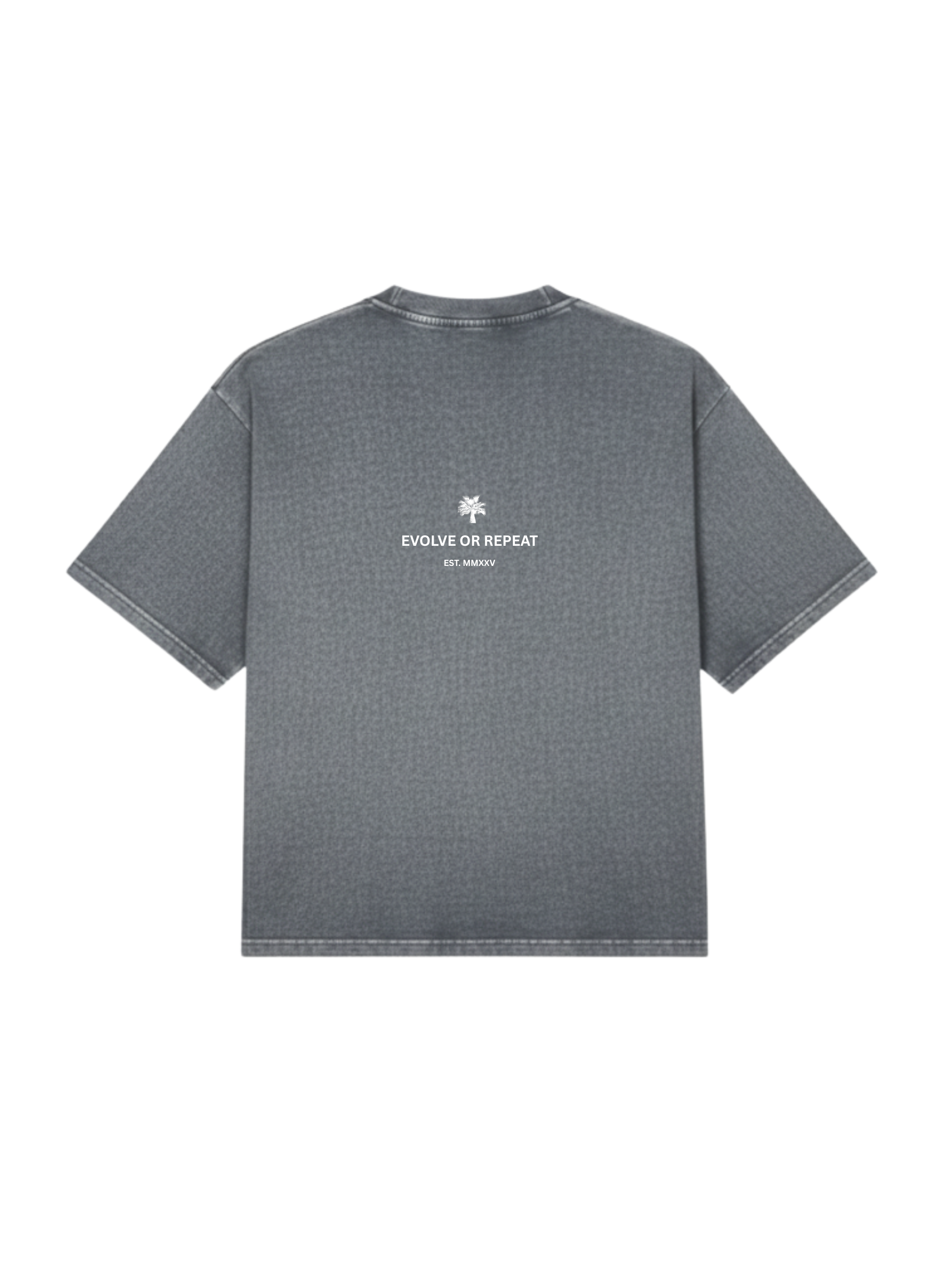 BASIC T-SHIRT IN STONEWASH