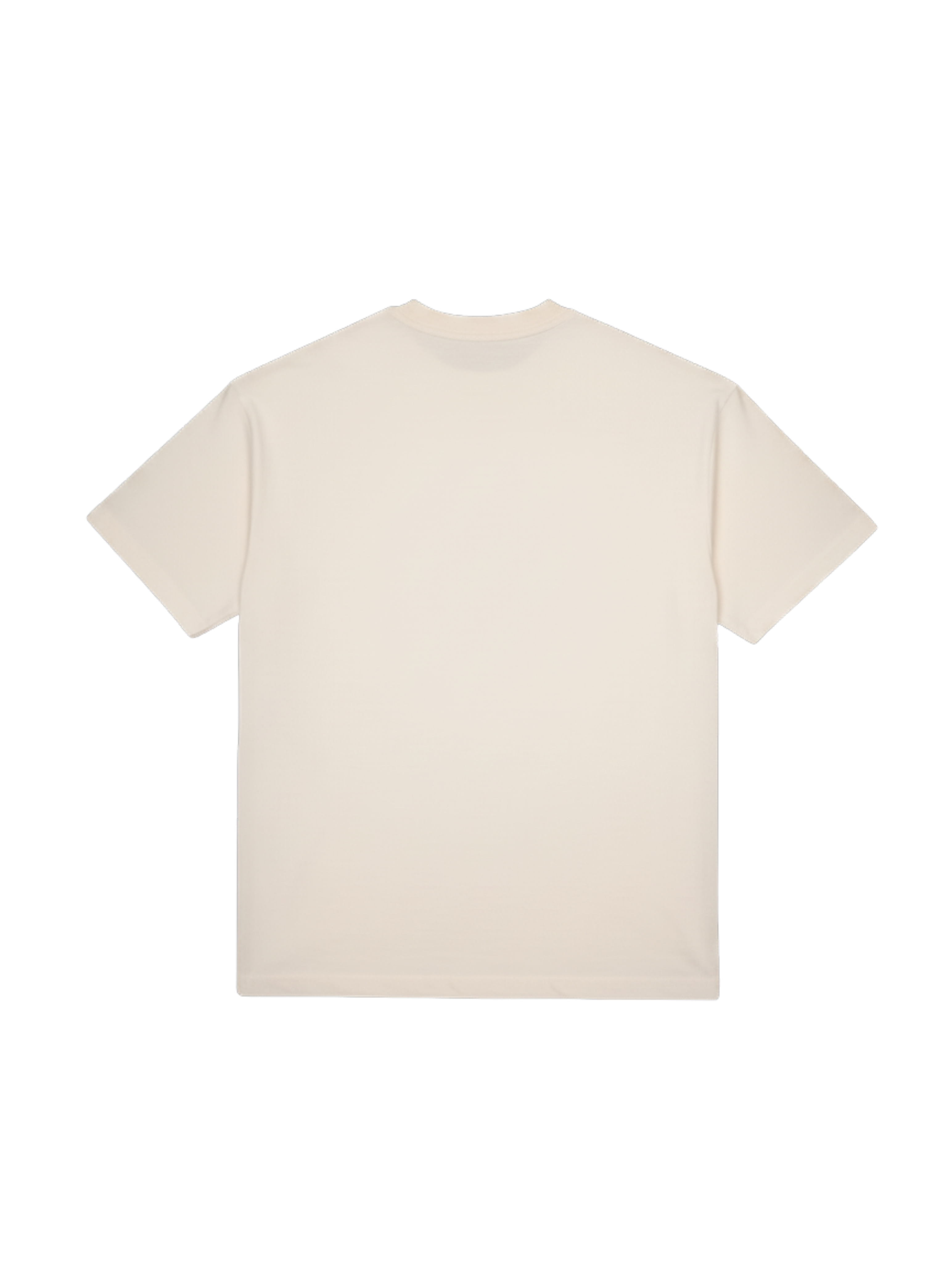 Varshell Wings Tee