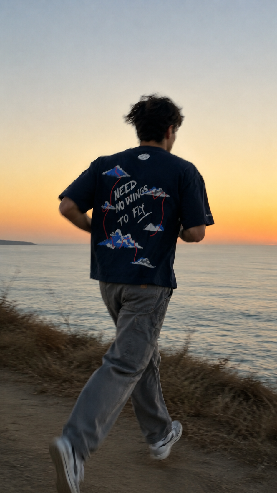 NO WINGS TO FLY