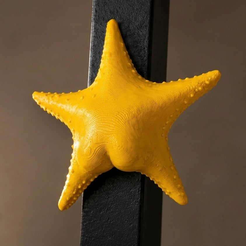 Star Patrick Fridge Magnet