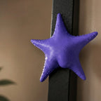 Star Patrick Fridge Magnet