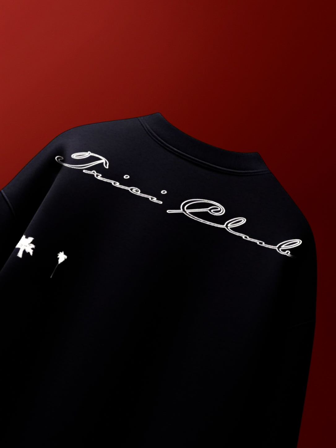 DRISHTI SWEATSHIRT