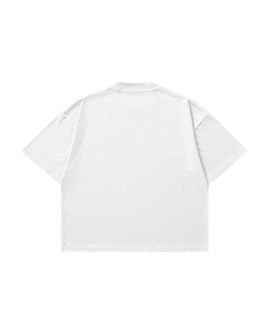 VISION WHT.