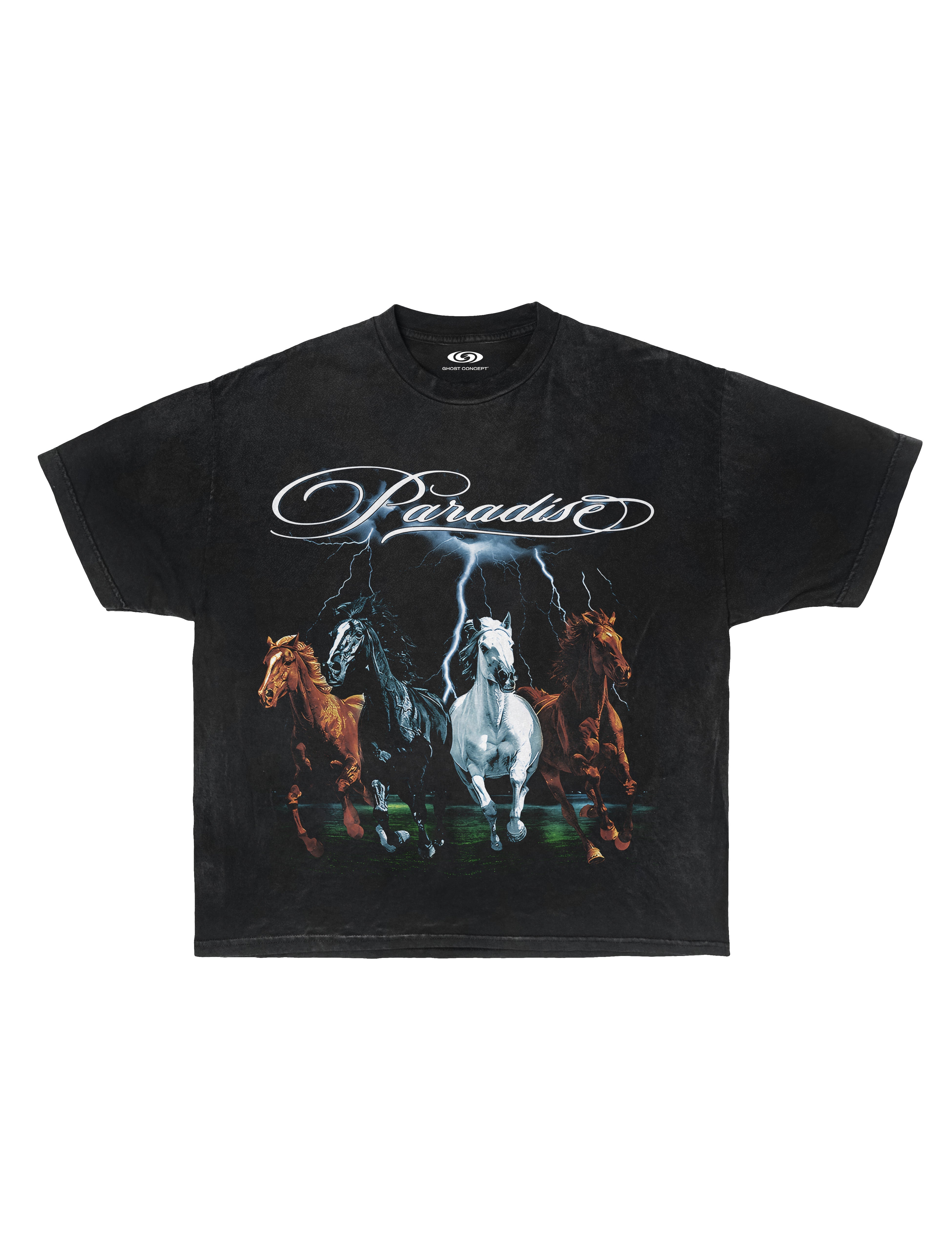 PARADISO GRAPHIC TEE - VINTAGE WASH
